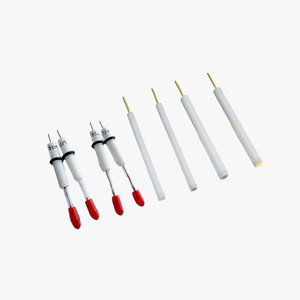 辰华 金属圆盘电极/微电极