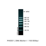 PH0001 | DNA Marker I（100-600bp）