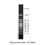 PH0010 | 50bp plus 50-1000 DNA Ladder